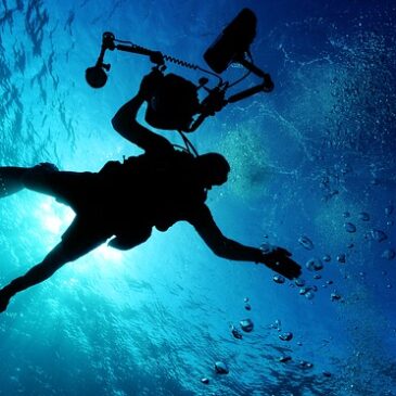 Sea Diving Sea Diving